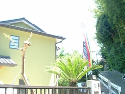 img20070429_8.jpg