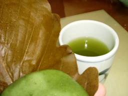 img20070429_1.jpg