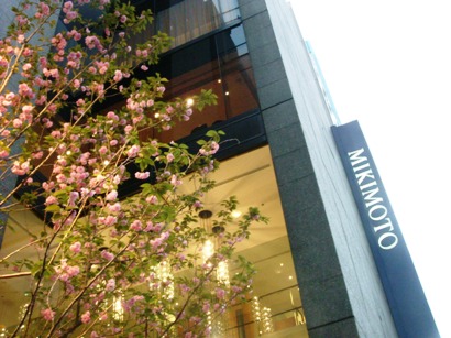 img20070425_2.jpg
