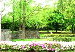img20070422.jpg