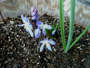 img20070420_1.jpg