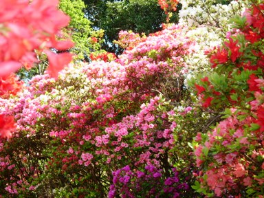 img20070414_2.jpg