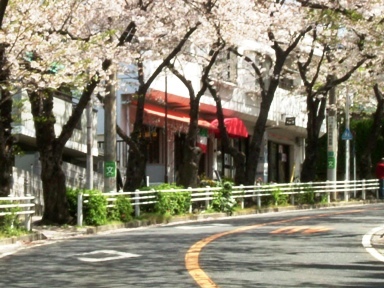 img20070405.jpg