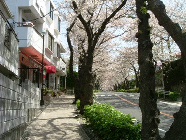 img20070405_1.jpg