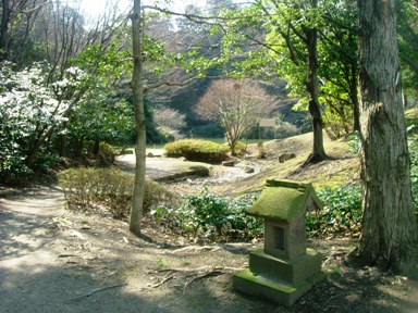 img20070227_1.jpg