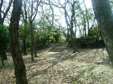 img20070227_4.jpg