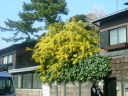 img20070221_4.jpg