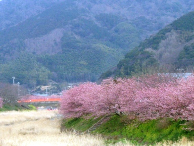 img20070219.jpg
