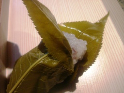 img20070219_7.jpg