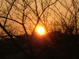 img20070206_2.jpg