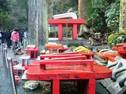 img20070121_2.jpg