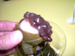 img20070120_3.jpg