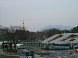 img20070103.jpg