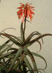 img20061224.jpg