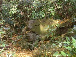 img20061213_4.jpg