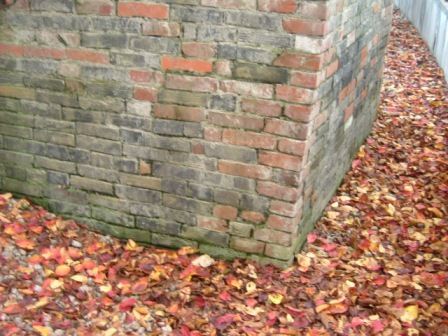 img20061203_4.jpg