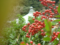 img20061123_4.jpg