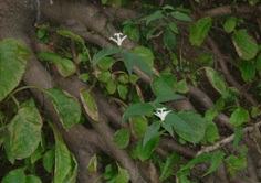 img20061013_4.jpg