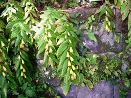 img20061013_6.jpg