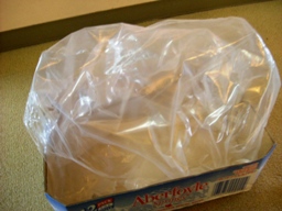img20060924_2.jpg
