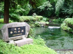 img20060908_5.jpg