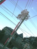img20060304.jpg