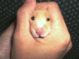 img20051215.jpg