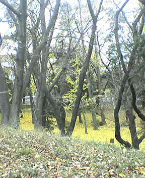 051211-112945.jpg