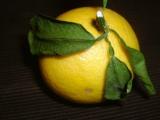 img20050301.jpg