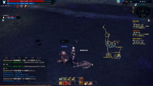 TERA_ScreenShot_20110808_181946.jpg