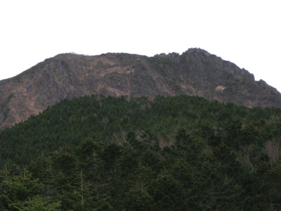 amida_2.jpg