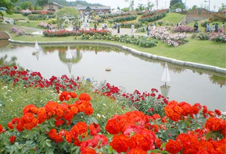 東沢バラ公園
