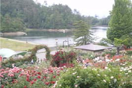 東沢湖
