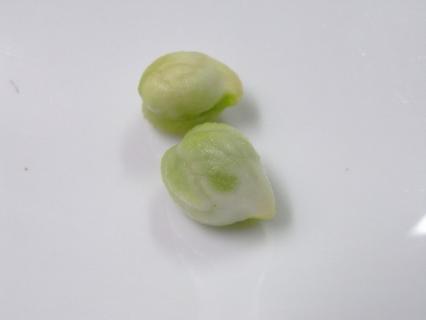 RIMG0028.jpg