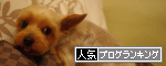 br_decobanner_20091001125348.gif