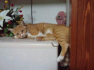 201009212141169cc.jpg