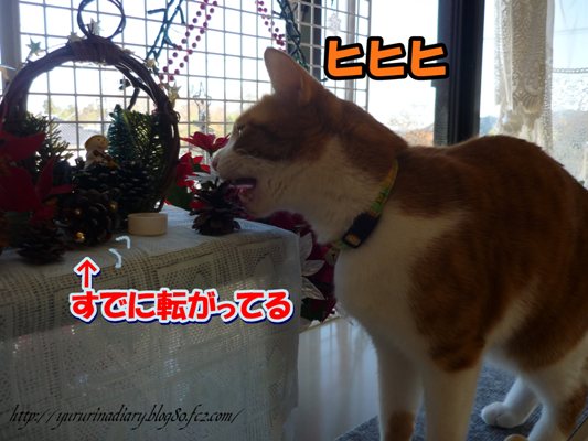 12月 19