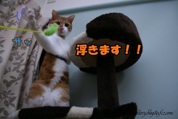 1月 68