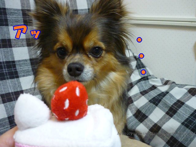 3月 15