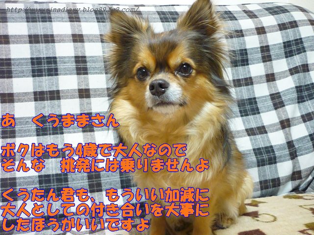 3月 14