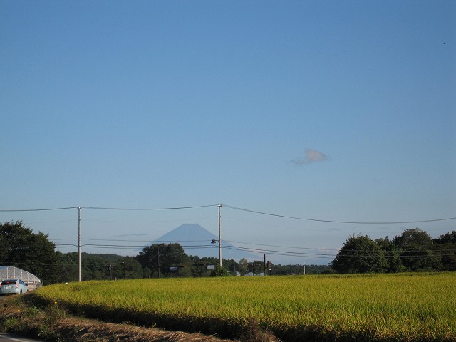0918稲の風景 (14)