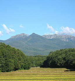 0918稲の風景 (八ヶ岳3左)