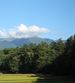 0918稲の風景 (八ヶ岳右)