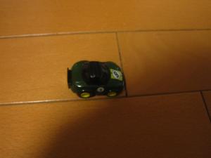 IMG_7329.jpg